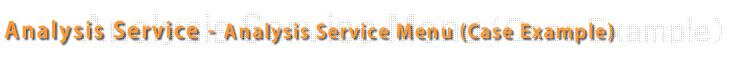 Analysis service-Analysis service menu (Case Example)