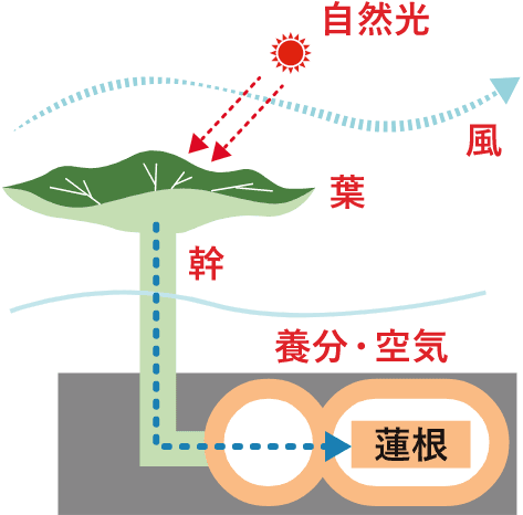 季節を跨いだエネルギー利用